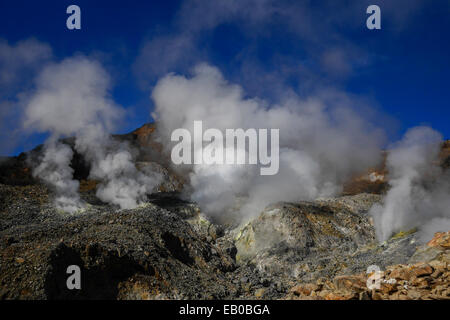 Der Vulkankrater des Vulkans Mount Papandayan in Garut, West Java, Indonesien. Stockfoto