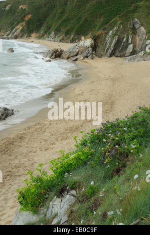 Als Torradas Strand. Malpica de Bergantiños, Galicien, Spanien. Stockfoto