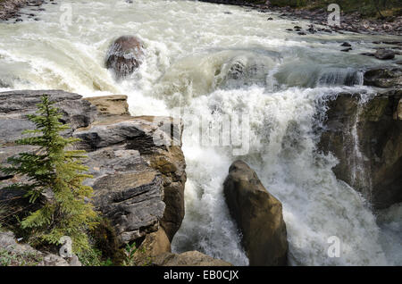 Felsen am Sunwapta Wasserfall in Kanada Stockfoto