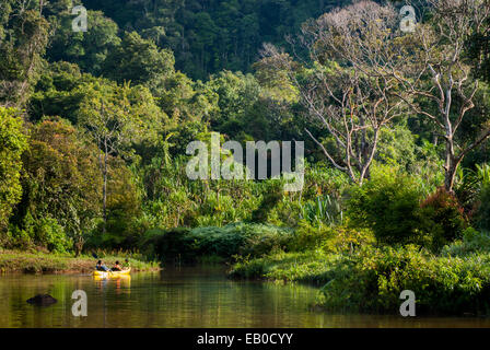 Touristen, Kanufahren auf natürlicher See, umgeben von tropischem Regenwald in Gede Pangrango Nationalpark, Indonesien. Stockfoto