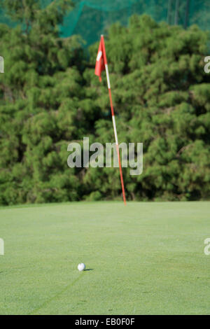 weiße Golfball auf einem grün mit einer Fahne Stockfoto