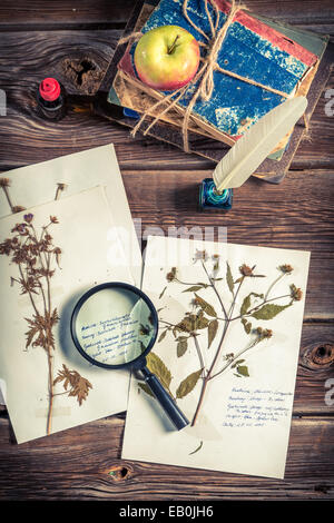 Biologie-Unterricht und Katalogisierung Pflanze Stockfoto