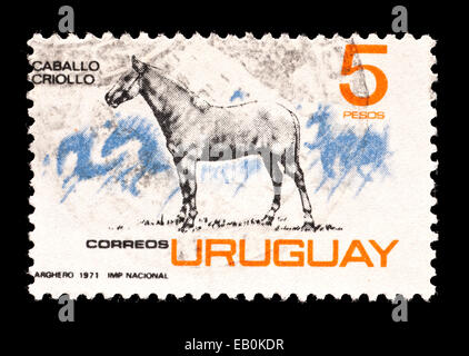 Briefmarke aus Uruguay Darstellung ein Criollo Pferdes. Stockfoto