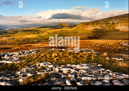 Pen-y-Gent-Hügel auf den Horizont und Victoria Höhle auf der rechten Seite von Warrendale Knotts gesehen, zu begleichen, North Yorkshire, UK Stockfoto