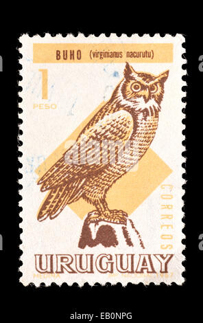 Briefmarke aus Uruguay mit südamerikanischen große gehörnte Eule (Bubo Virginianus Nacurutu) Stockfoto