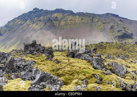 West Island, Snæfellsnes Halbinsel Klippen am Gatklettur-Lavafeld. Stockfoto