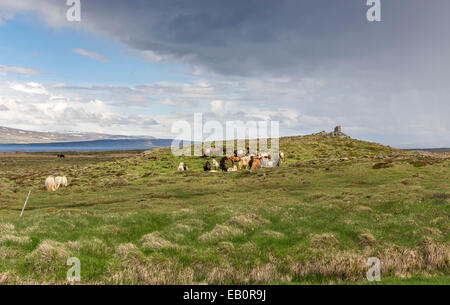 Westisland Westfjorde, Flókalundur, Straße und Landschaft auf dem Weg nach Látrabjarg Stockfoto