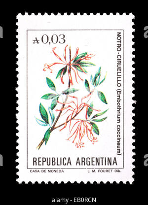 Briefmarke aus Argentinien mit chilenischen spazieren (Embothrium Coccineum) Stockfoto