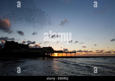 Eine städtische Murmuration Stare bildet Formen über den Pier und die Stadt von Aberystwyth an der Westküste von mid Wales. Stockfoto