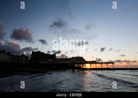 Eine städtische Murmuration Stare bildet Formen über den Pier und die Stadt von Aberystwyth an der Westküste von mid Wales. Stockfoto