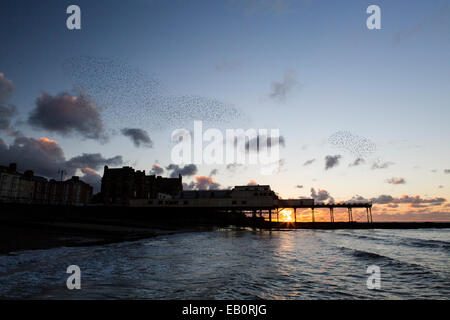 Eine städtische Murmuration Stare bildet Formen über den Pier und die Stadt von Aberystwyth an der Westküste von mid Wales. Stockfoto