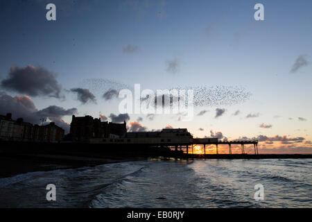 Eine städtische Murmuration Stare bildet Formen über den Pier und die Stadt von Aberystwyth an der Westküste von mid Wales. Stockfoto