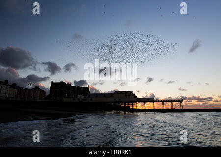 Eine städtische Murmuration Stare bildet Formen über den Pier und die Stadt von Aberystwyth an der Westküste von mid Wales. Stockfoto