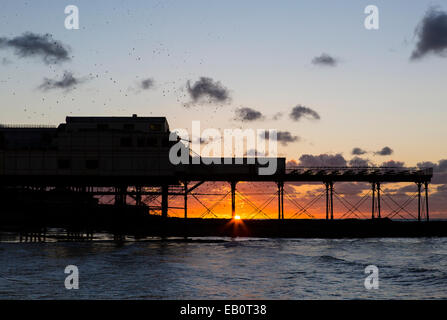 Eine städtische Murmuration Stare bildet Formen über den Pier und die Stadt von Aberystwyth an der Westküste von mid Wales. Stockfoto