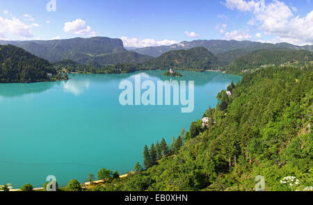 Panoramablick auf See Bled, Slowenien Stockfoto