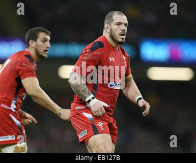 Cardiff, UK. 22. November 2014. Paul James von Wales - Herbst-Test-Serie - Wales Vs New Zealand - Millennium Stadium - Cardiff - Wales 22. November 2014 - Bild Simon Bellis/Sportimage. © Csm/Alamy Live-Nachrichten Stockfoto