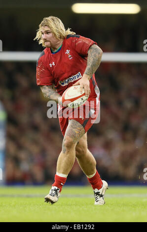 Cardiff, UK. 22. November 2014. Richard Hubbard von Wales - Herbst-Test-Serie - Wales Vs New Zealand - Millennium Stadium - Cardiff - Wales 22. November 2014 - Bild Simon Bellis/Sportimage. © Csm/Alamy Live-Nachrichten Stockfoto