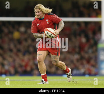 Cardiff, UK. 22. November 2014. Richard Hubbard von Wales - Herbst-Test-Serie - Wales Vs New Zealand - Millennium Stadium - Cardiff - Wales 22. November 2014 - Bild Simon Bellis/Sportimage. © Csm/Alamy Live-Nachrichten Stockfoto