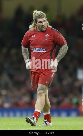 Cardiff, UK. 22. November 2014. Richard Hubbard von Wales - Herbst-Test-Serie - Wales Vs New Zealand - Millennium Stadium - Cardiff - Wales 22. November 2014 - Bild Simon Bellis/Sportimage. © Csm/Alamy Live-Nachrichten Stockfoto