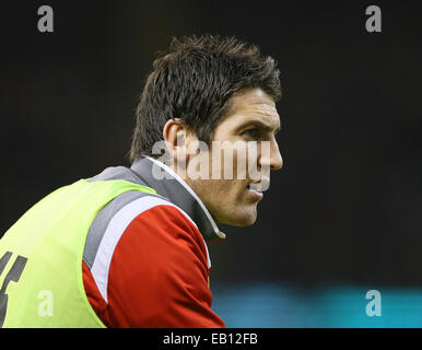 Cardiff, UK. 22. November 2014. James Hook von Wales - Herbst-Test-Serie - Wales Vs New Zealand - Millennium Stadium - Cardiff - Wales 22. November 2014 - Bild Simon Bellis/Sportimage. © Csm/Alamy Live-Nachrichten Stockfoto