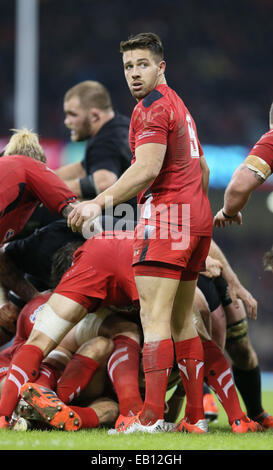 Cardiff, UK. 22. November 2014. Rhys Webb von Wales - Herbst Testreihen - Wales Vs New Zealand - Millennium Stadium - Cardiff - Wales 22. November 2014 - Bild Simon Bellis/Sportimage. © Csm/Alamy Live-Nachrichten Stockfoto