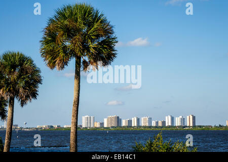 Florida Dayona Beach Shores, Halifax River Water, sabal Kohl Palmpalme Palmetto Palmetto Bäume, Wasser, Hochhaus, Wohngebäude, Besucher reisen Stockfoto