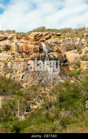 60 Fuß verliebt sich in Ellis Bach Tal, Banyowla Regionalpark, Perth, WA, Australien Stockfoto