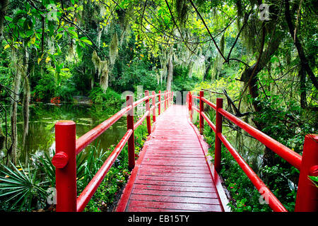 Kleine rote Brücke über einen Teich, Magnolia Plantation, Charleston, South Carolina Stockfoto