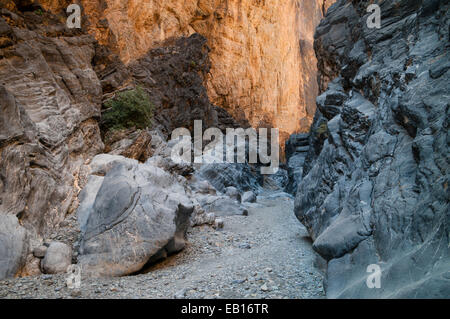 Kleine Schlange Canyon, Vereinigte Arabische Emirate Stockfoto