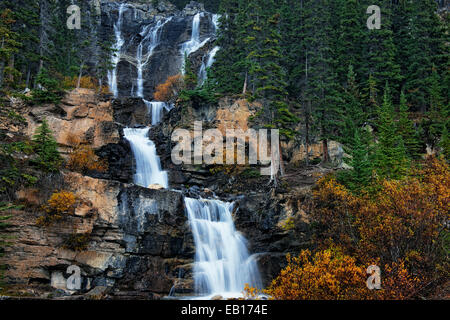 Tangle Creek Falls gießt 114 Fuß über Multi tiered Kalkstein Schritte in Alberta die kanadischen Rockies und Jasper National Park. Stockfoto