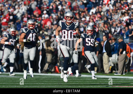 Foxborough, Massachusetts, USA. 23. November 2014. New England Patriots Wide Receiver Danny Amendola (80) nimmt das Feld an die NFL-Spiel zwischen den Detroit Lions und die New England Patriots im Gillette Stadium in Foxborough, Massachusetts statt. Die Patriots besiegt die Löwen 34-9. Bildnachweis: Cal Sport Media/Alamy Live-Nachrichten Stockfoto