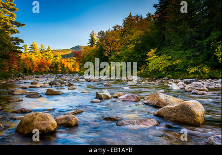 Herbstfarbe entlang des Swift River, auf dem Kancamagus Highway in White Mountain National Forest, New Hampshire. Stockfoto