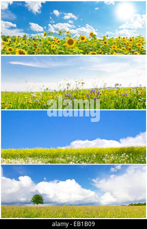 Collage aus verschiedenen Wiesen im Frühjahr und Sommer Stockfoto