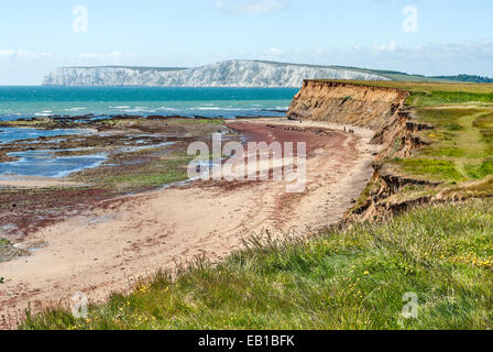 Küstenlandschaft zwischen Freshwater Bay und Crompton Bay an der Südküste der Isle of Wight, England Stockfoto