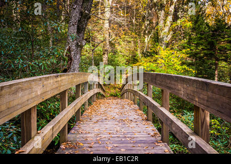 Herbstfarbe und Brücke auf dem Hostals Trail entlang der Blue Ridge Parkway, North Carolina. Stockfoto