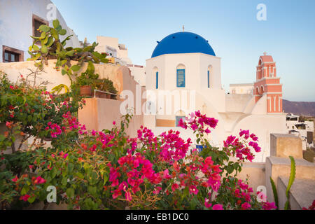 Dorf Oia auf Santorin, Griechenland. Stockfoto