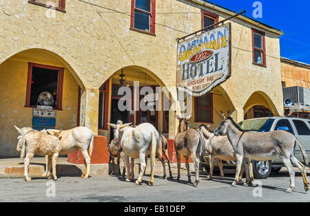 Historisches Hotel auf der Route 66 in Oatman, Arizona Stockfoto