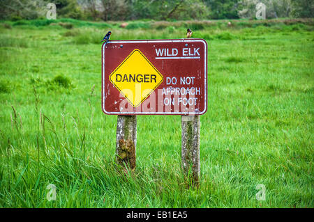 Wilden Elch Schild im Redwood National Park Stockfoto