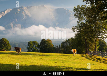 Auf einer Farm in den Bergen Österreichs Stockfoto