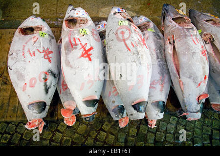 Tokyo zentrale Großmarkt, Tsukiji Fish Market, Tokyo, Japan Stockfoto
