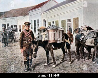 Das zeitgenössische eingefärbte deutsche Propaganda-Foto zeigt eine bulgarische Armee Lasttier Gruppe, ca. 1915. : Fotoarchiv Neumann - kein Draht-SERVICE Stockfoto