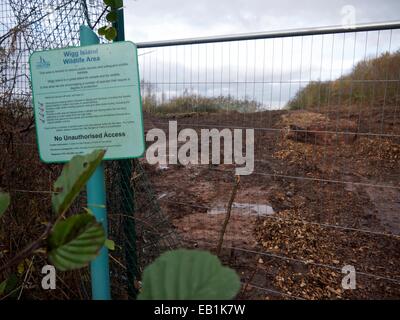 Runcorn, UK. 24. November 2014. Wigg Inselbereich Tierwelt zerstört durch den Bau des neuen Mersey Gateway Brücke.  Das Mersey Gateway ist eine neue Straßenbrücke über den Fluss Mersey und den Manchester Ship Canal im Nordwesten Englands, der Baubeginn im Mai 2014. Bildnachweis: Dave Baxter/Alamy Live-Nachrichten Stockfoto