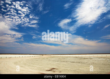 Blick auf die Etosha-Pfanne aus dem Etosha lookout Stockfoto