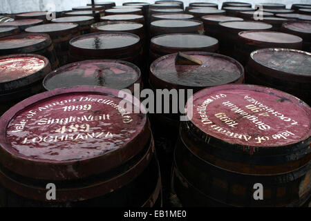 alten Holzfässern Whiskey in der Isle of Arran Distillery. Lochranza, Isle of Arran, Scotland, UK Stockfoto