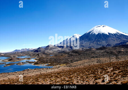 Lauca Park Altiplano Anden Chile Stockfoto