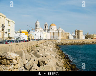 Eine Möwe fliegen in Paseo Campo del Sur (Cadiz Kathedrale La Catedral Vieja de Cadiz oder Iglesia de Santa Cruz genannt). Cadiz. And Stockfoto