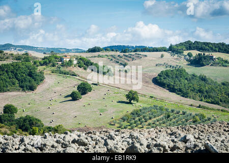 Bild in der Nähe von Pienza mit schönen Landschaft in der Toskana, Italien Stockfoto