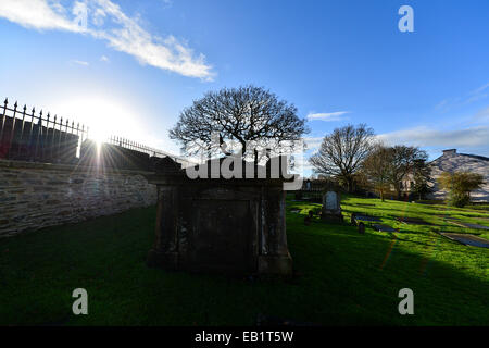 Eichen, Friedhof, Silhouette gegen die Wintersonne. Foto: George Sweeney/Alamy Stockfoto