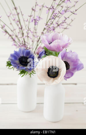 Bunte pastellfarbene Anemonen in weißen Milchflaschen auf weißen lackierten Holztisch mit out of Focus rosa Besen im Hintergrund Stockfoto