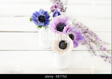 Bunte pastellfarbene Anemonen in weißen Milchflaschen auf weißen lackierten Holztisch mit out of Focus rosa Besen im Hintergrund Stockfoto